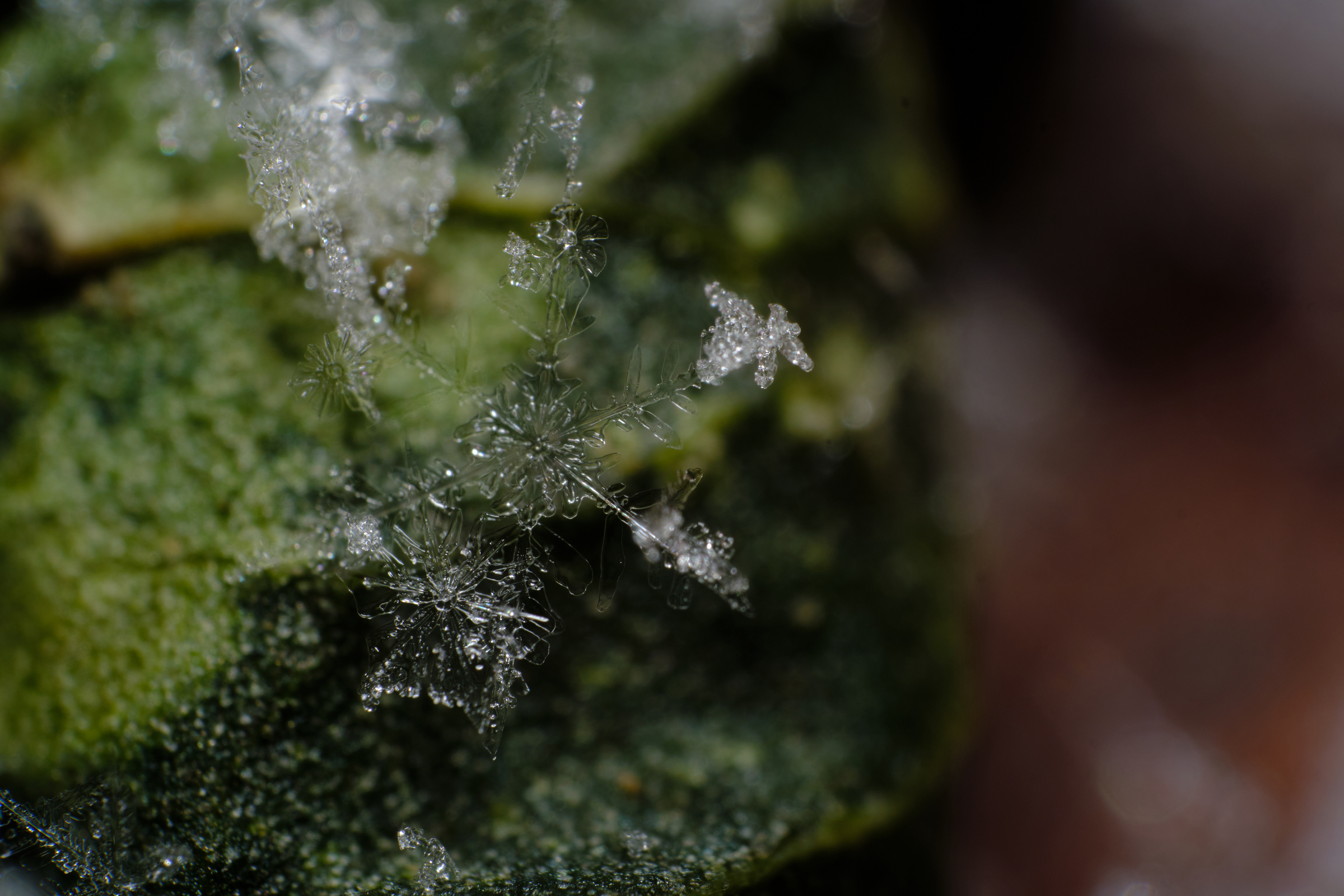 Snowflake II