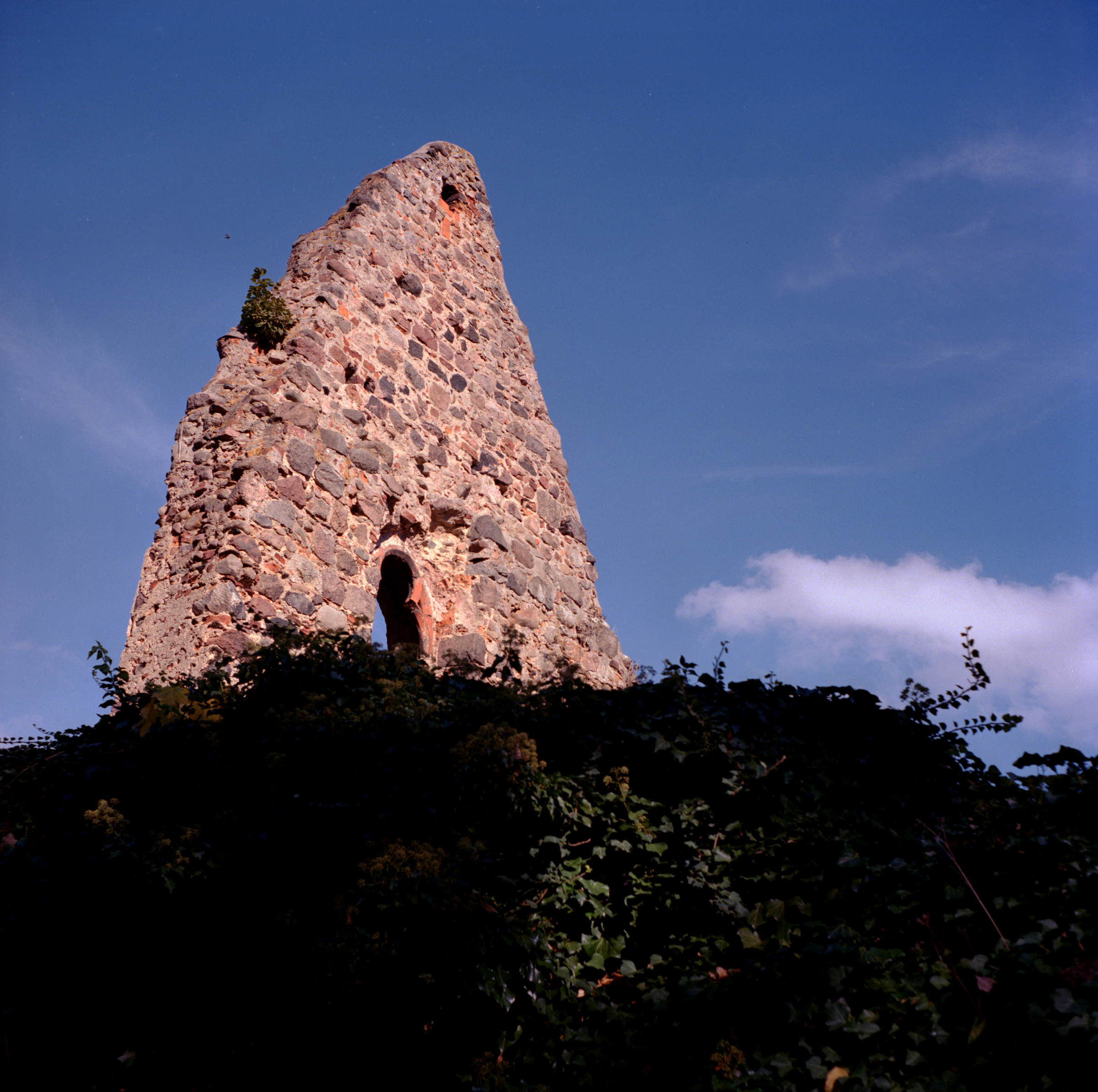Klosterruine II