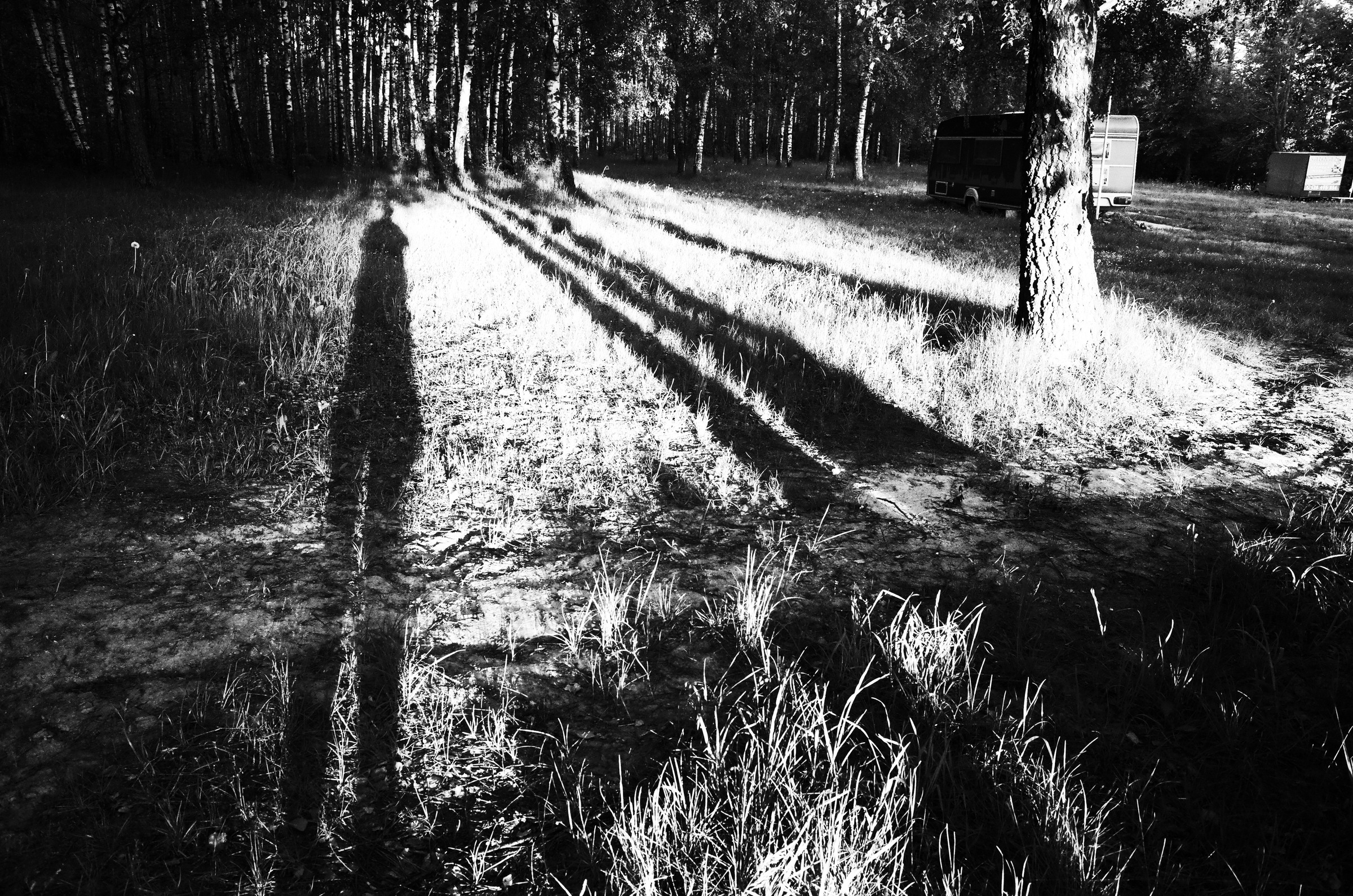 lange Schatten