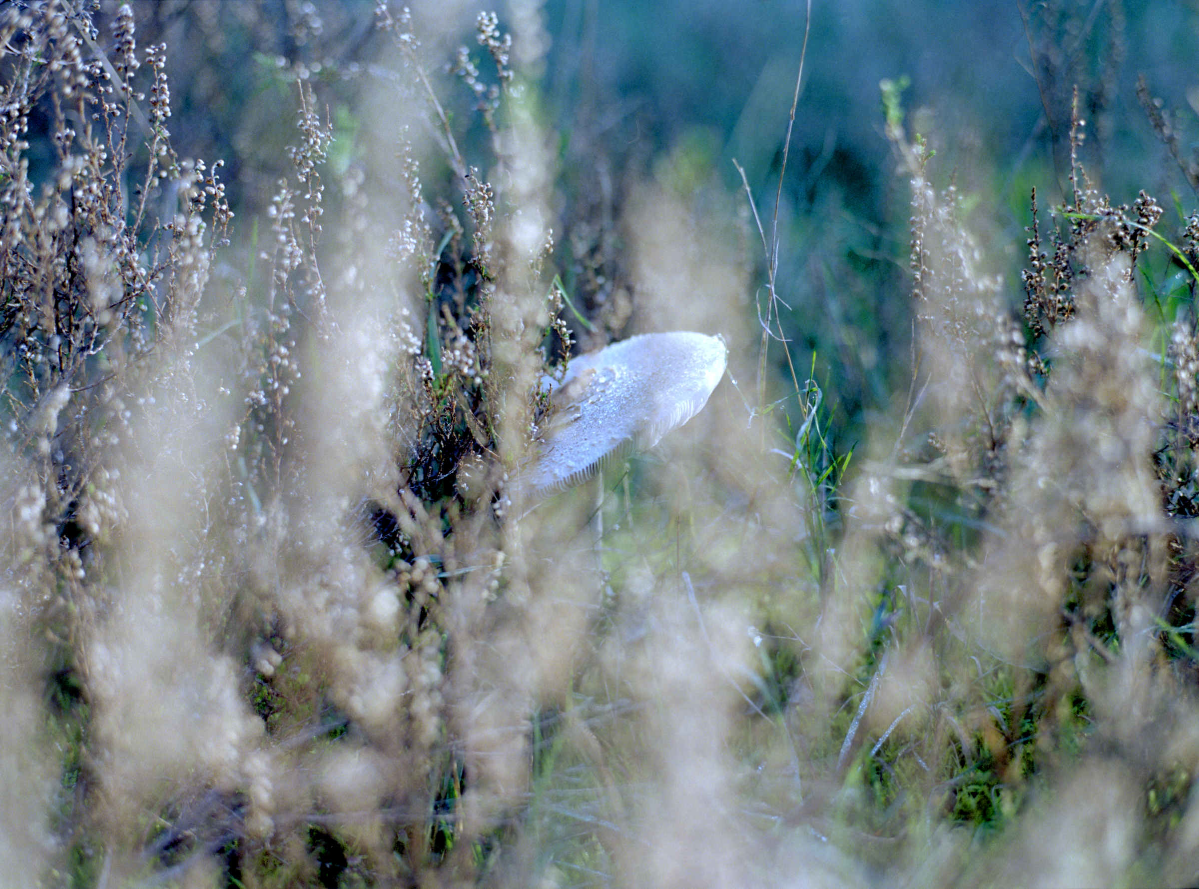 Versteckt