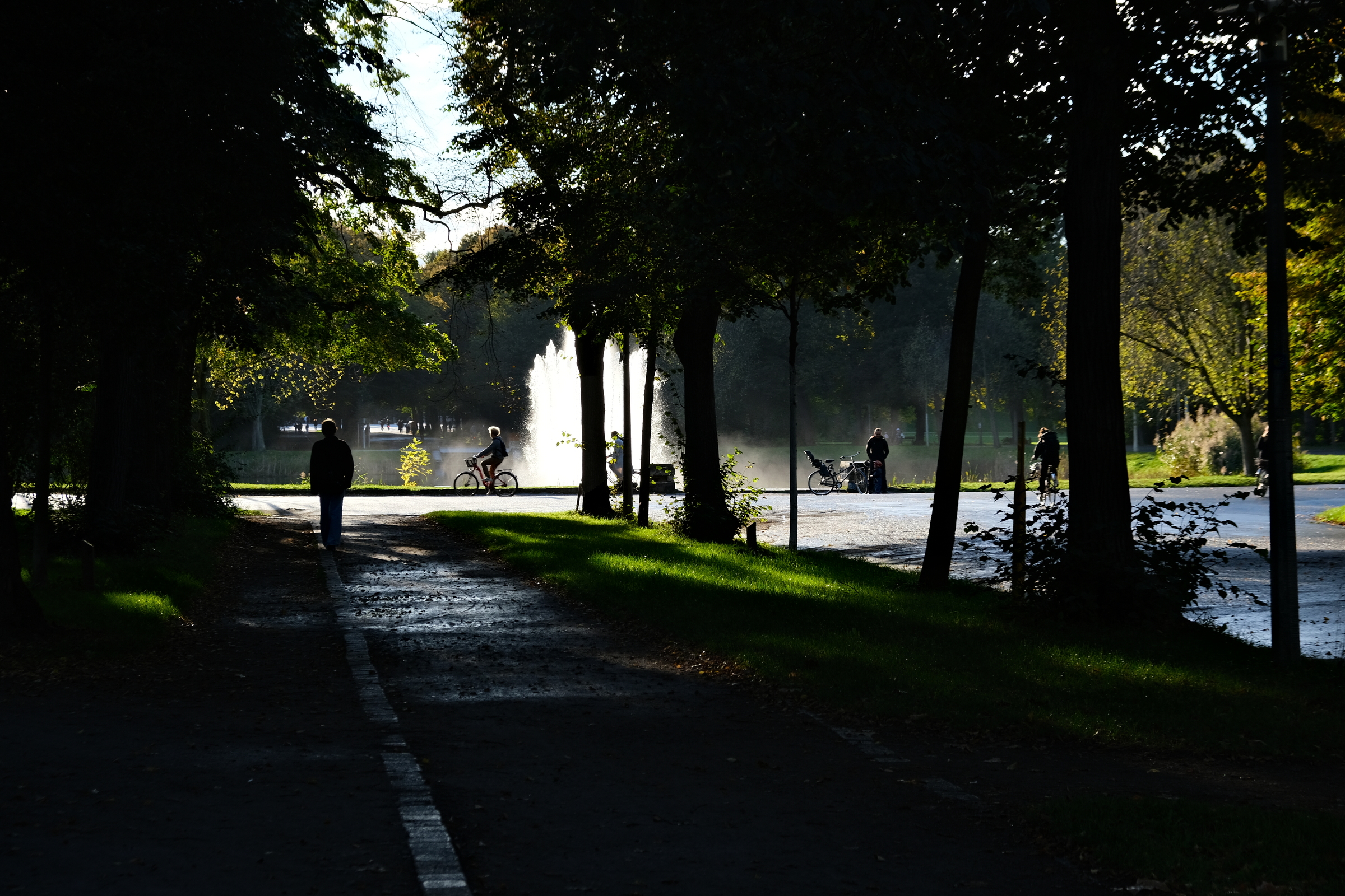 im Licht am Leben