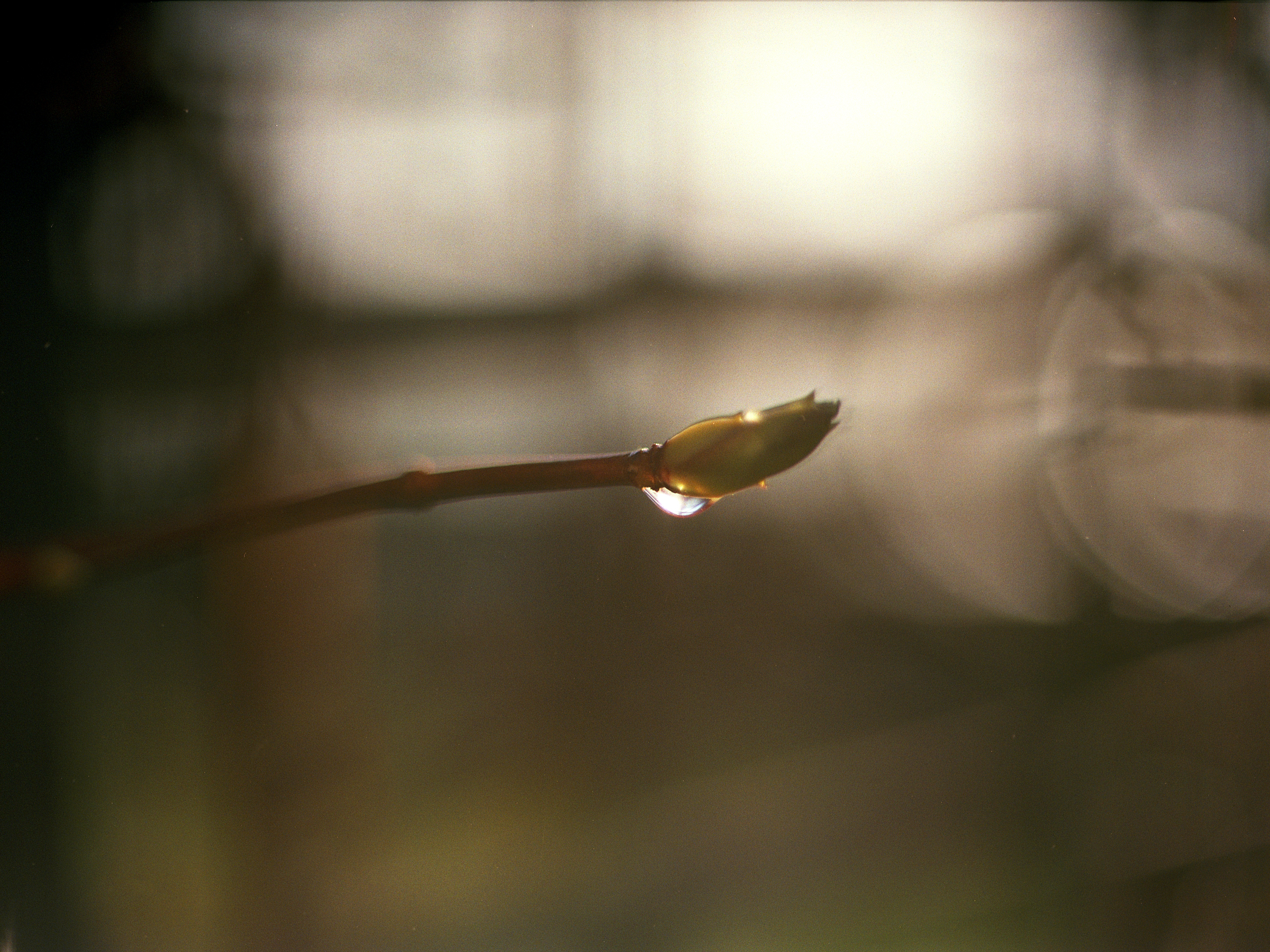 Nach dem Regen