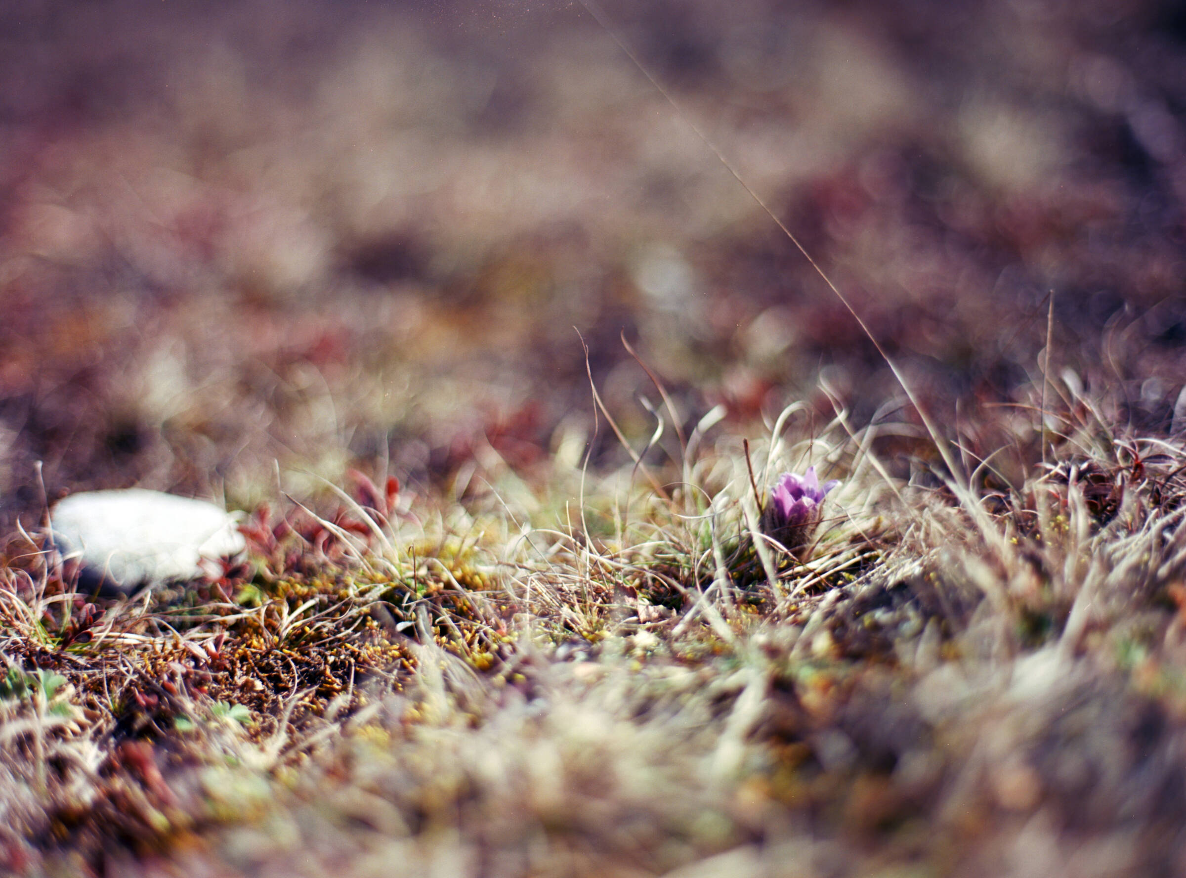 Versteckt richtung Licht