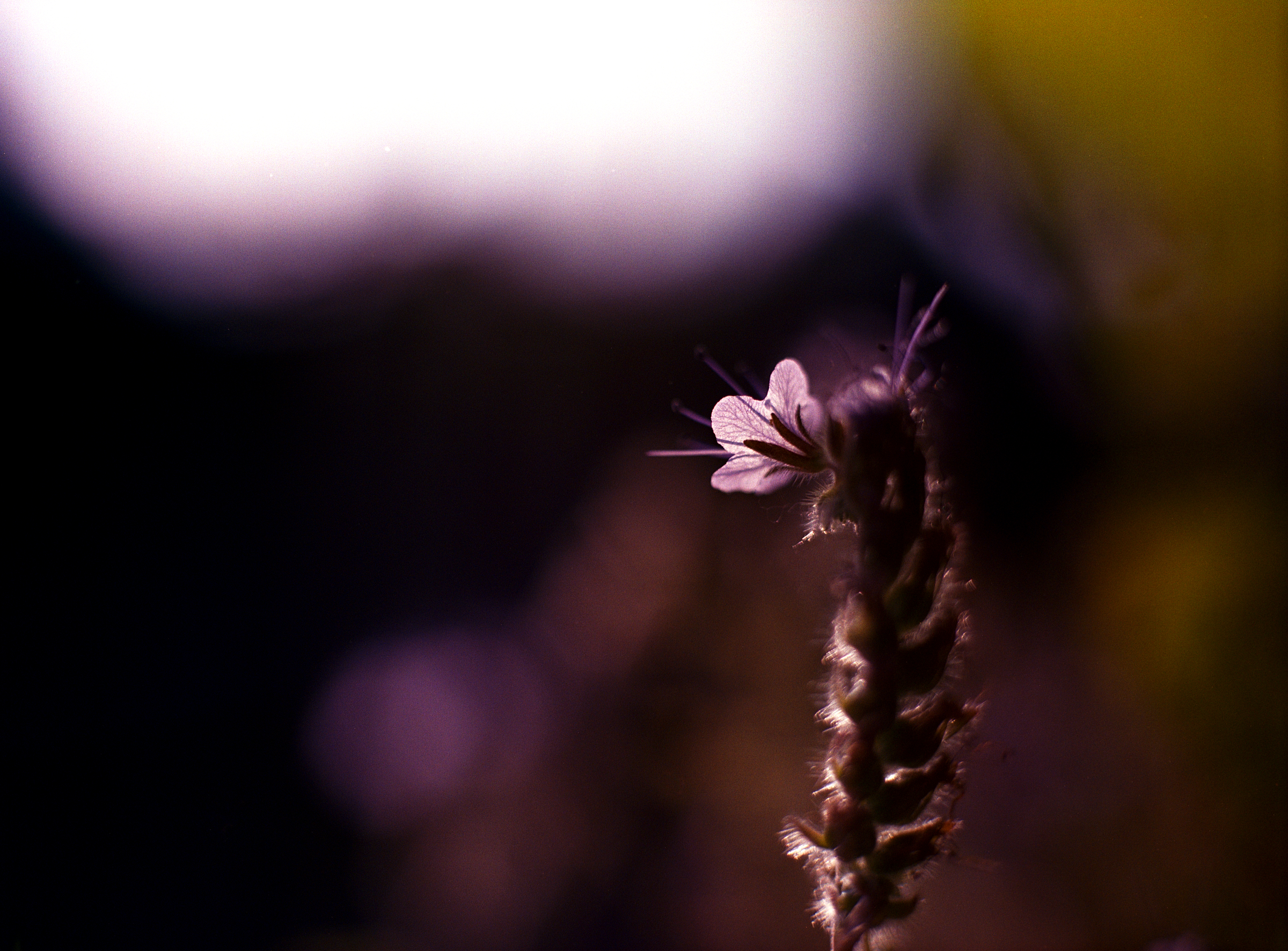 Blick zum Licht