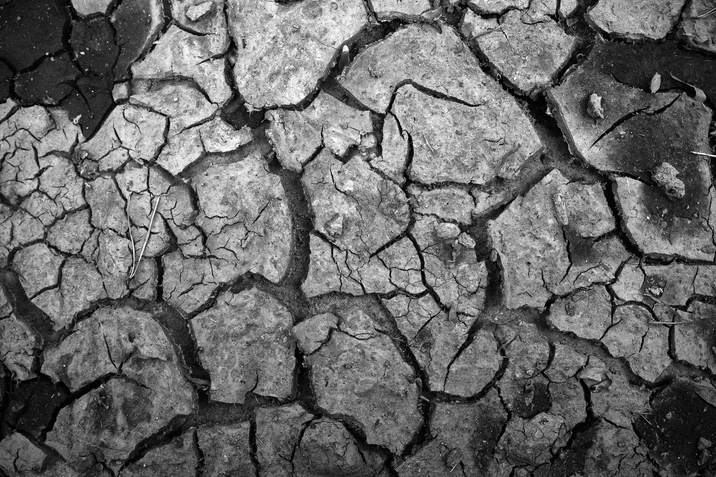 Dry Ground Details I