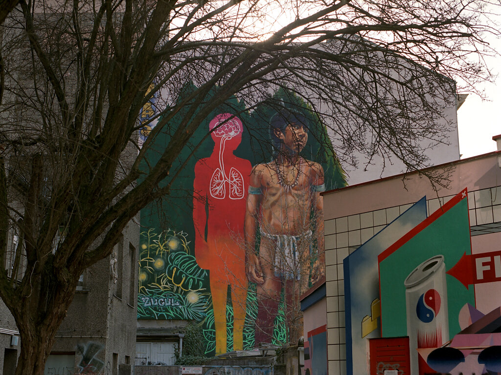 Berlin Murals